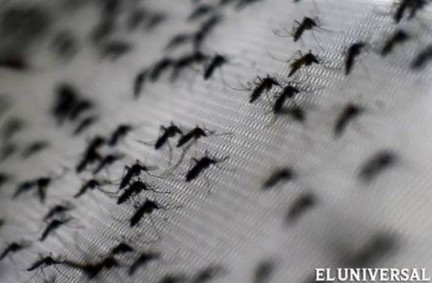 zika,nicaragua,dos mujeres,contagio,oms,minsa,zancudo,sintoma
