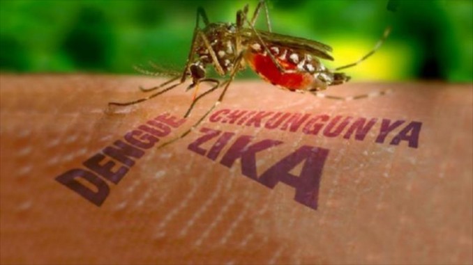casos de zika,nicaragua,mosquito transmisor,