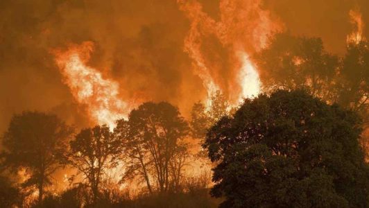 Incendios forestales en California - Radio Corporacion