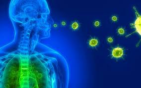 Enfermedades infecciosas entre primeras 10 causas de muerte: OMS