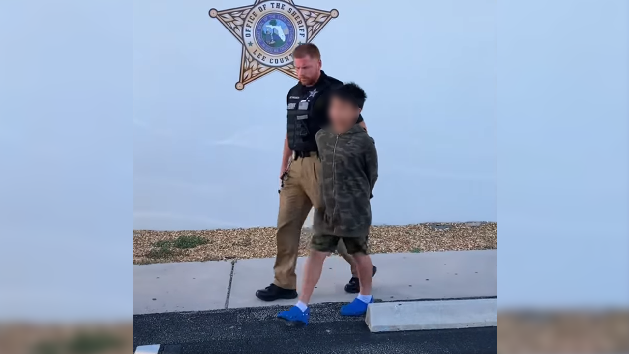 Boy Arrested For Stealing Chips