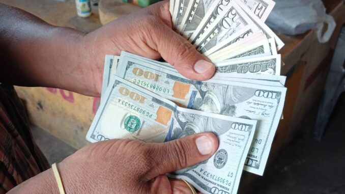 Dolares